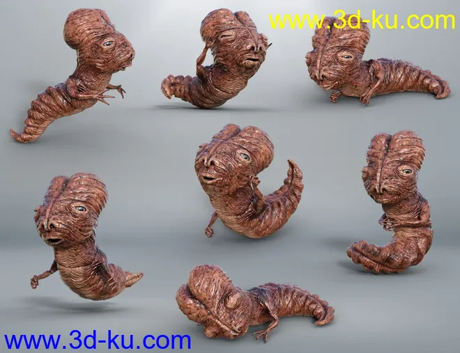 Space Navigator模型的图片7