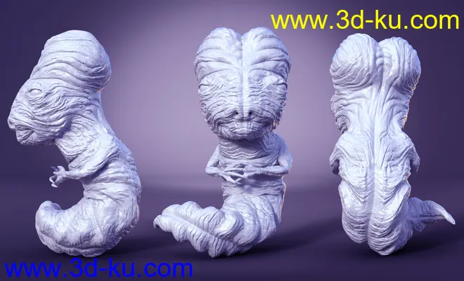 Space Navigator模型的图片9