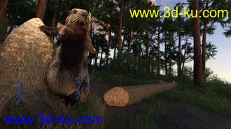 3D打印模型Storybook Beaver for Genesis 8.1 Males的图片