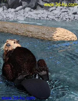 3D打印模型Storybook Beaver for Genesis 8.1 Males的图片