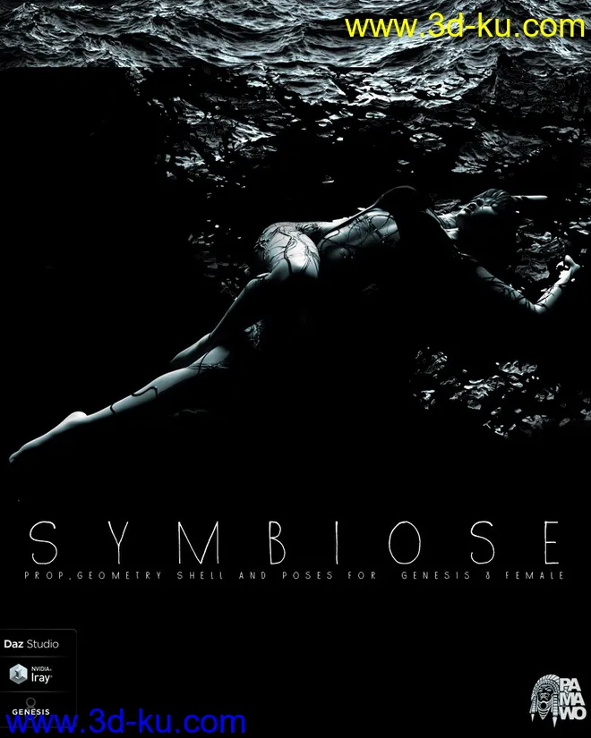 Symbiose DS模型的图片1