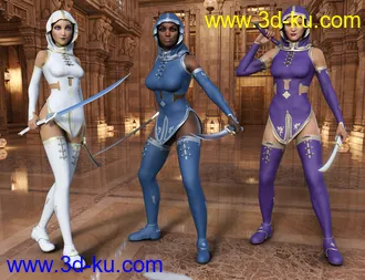 3D打印模型Templar Huntress Outfit for Genesis 8 Female(s)的图片