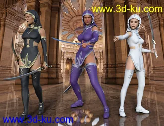 3D打印模型Templar Huntress Outfit for Genesis 8 Female(s)的图片