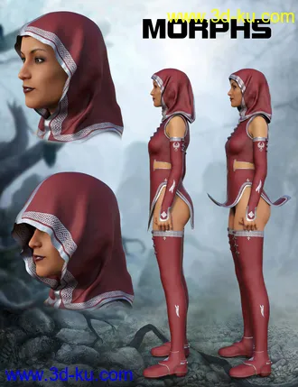 3D打印模型Templar Huntress Outfit for Genesis 8 Female(s)的图片