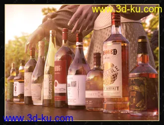 3D打印模型The Censored Cellar Wine and Whiskey Props and Shaders的图片