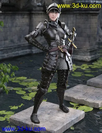 3D打印模型The Knight Series 02 for Genesis 8 Females的图片