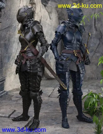 3D打印模型The Knight Series 02 for Genesis 8 Females的图片