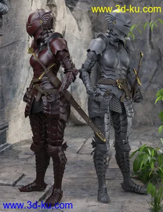 3D打印模型The Knight Series 02 for Genesis 8 Females的图片