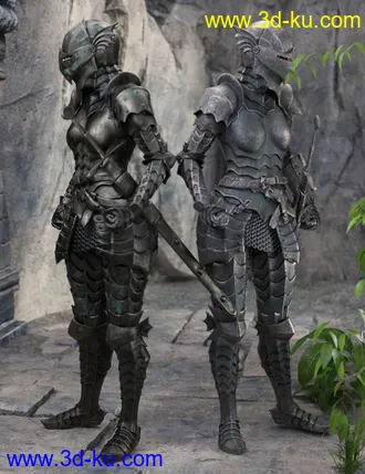 3D打印模型The Knight Series 02 for Genesis 8 Females的图片
