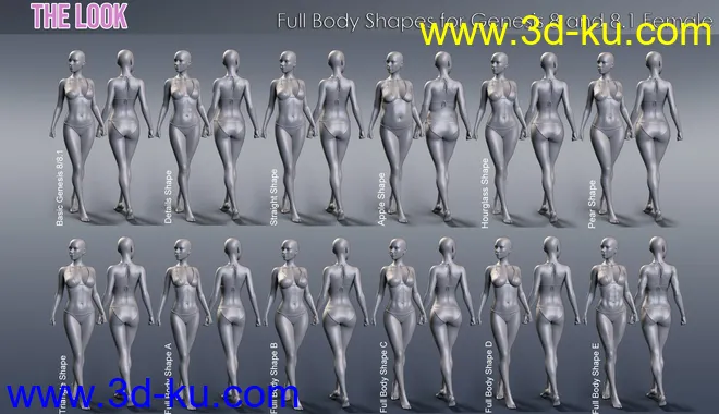 The Look HD Body Morph Resource for Genesis 8 and 8.1 Female模型的图片2