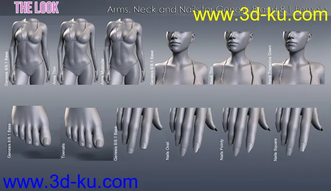 The Look HD Body Morph Resource for Genesis 8 and 8.1 Female模型的图片3