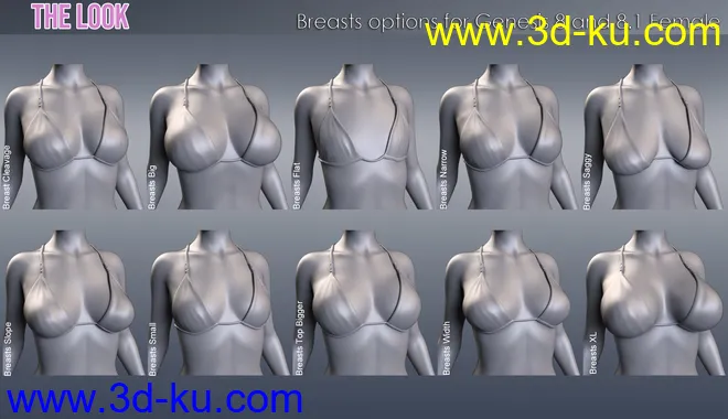 The Look HD Body Morph Resource for Genesis 8 and 8.1 Female模型的图片4