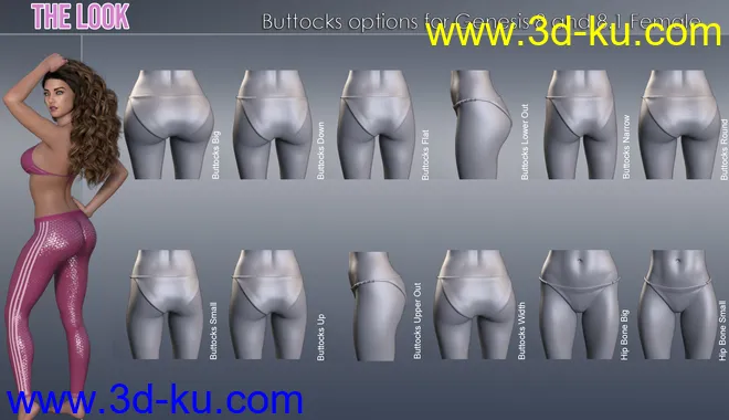The Look HD Body Morph Resource for Genesis 8 and 8.1 Female模型的图片5