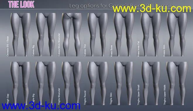 The Look HD Body Morph Resource for Genesis 8 and 8.1 Female模型的图片6