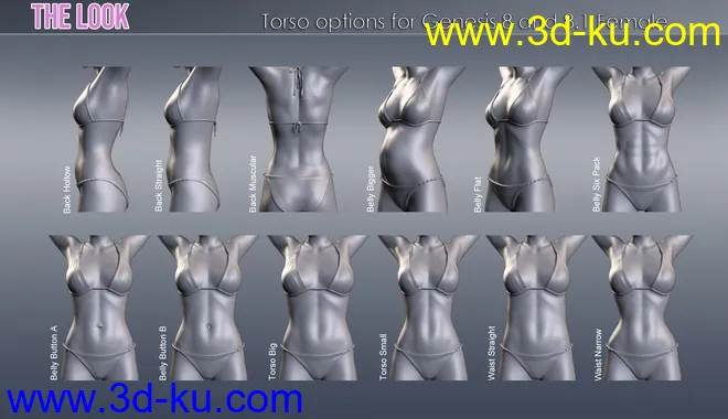 The Look HD Body Morph Resource for Genesis 8 and 8.1 Female模型的图片7