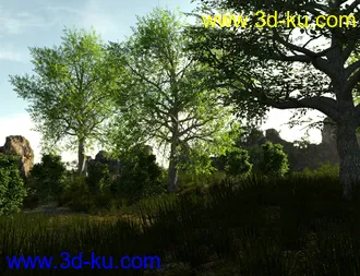3D打印模型The Magical Tree的图片