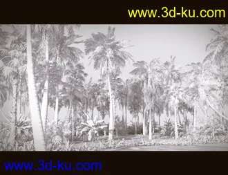 3D打印模型Tropical Beach的图片