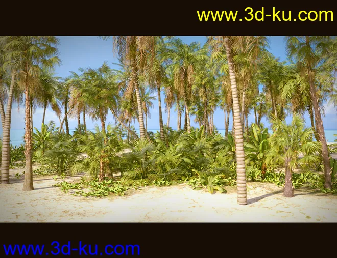 Tropical Beach模型的图片5