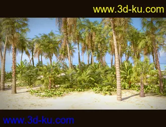 3D打印模型Tropical Beach的图片