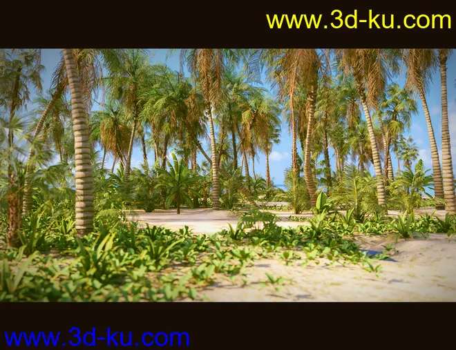 Tropical Beach模型的图片6