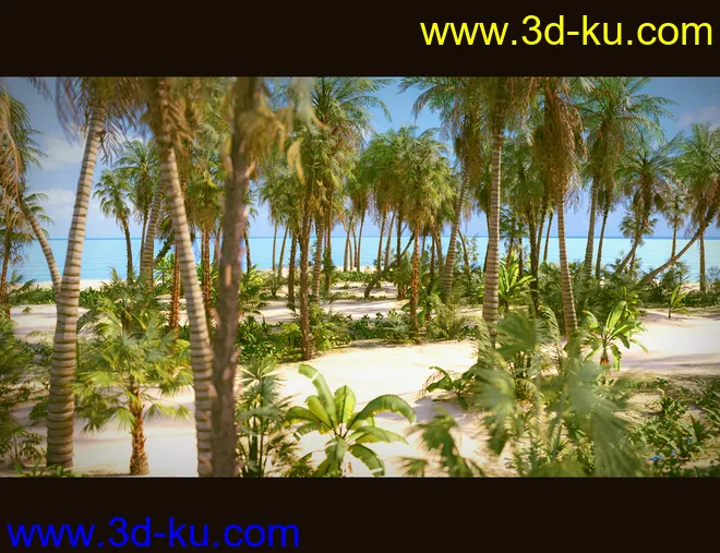 Tropical Beach模型的图片7