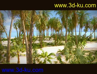 3D打印模型Tropical Beach的图片