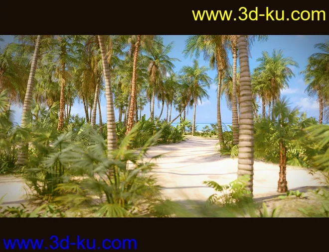 Tropical Beach模型的图片8