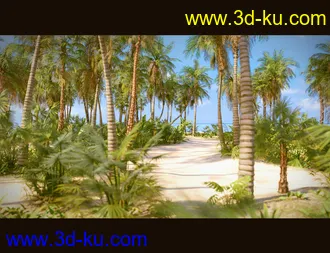 3D打印模型Tropical Beach的图片