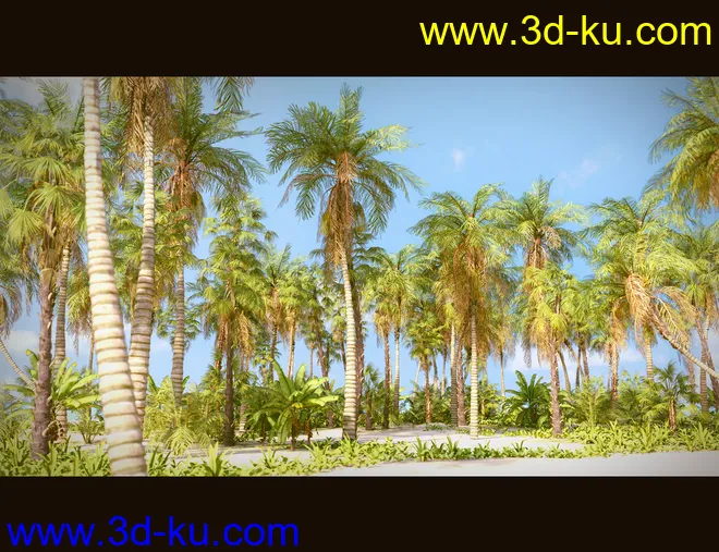 Tropical Beach模型的图片9