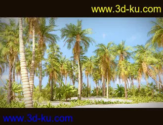 3D打印模型Tropical Beach的图片