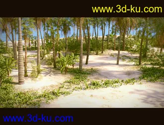 3D打印模型Tropical Beach的图片