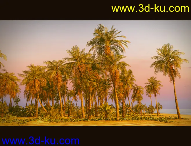 Tropical Beach模型的图片11