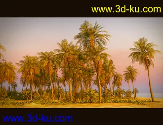 3D打印模型Tropical Beach的图片