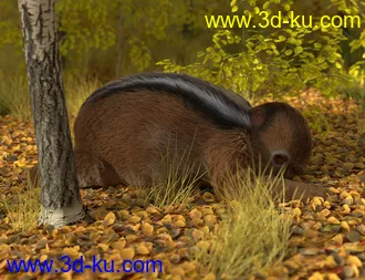 3D打印模型Velloso For Genesis 8 Male的图片