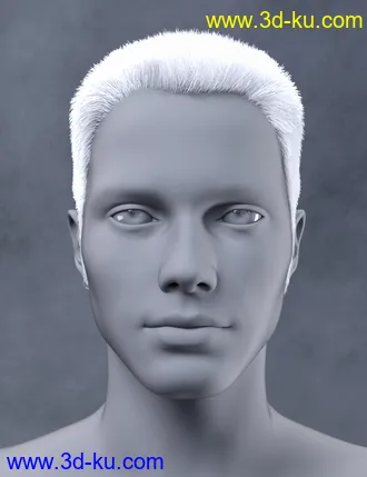 3D打印模型Vlad Bundle的图片