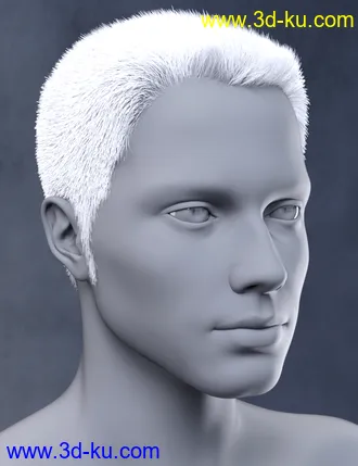 3D打印模型Vlad Bundle的图片
