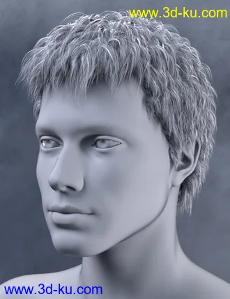 3D打印模型Vlad Bundle的图片
