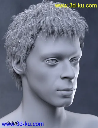 3D打印模型Vlad Bundle的图片