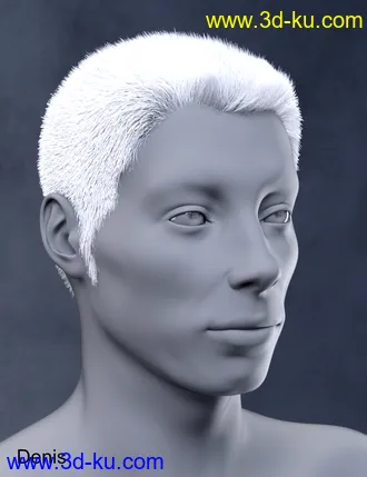 3D打印模型Vlad Bundle的图片
