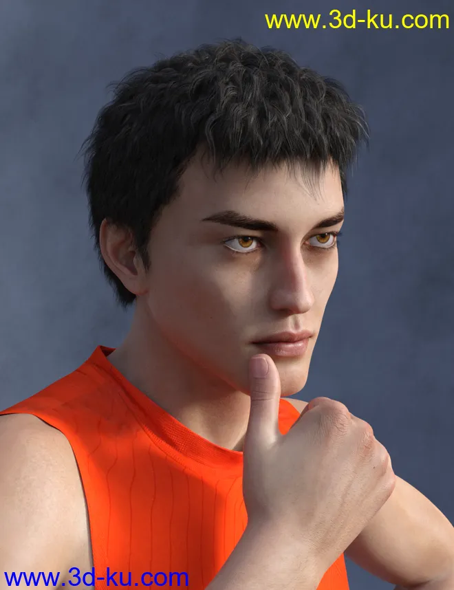 Vlad Bundle模型的图片17