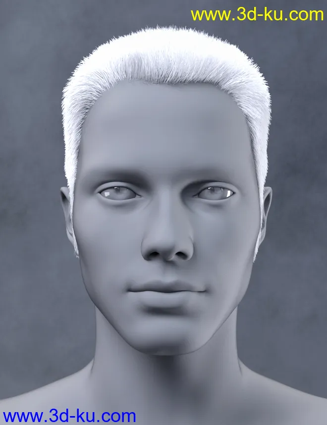 Vlad Bundle模型的图片24