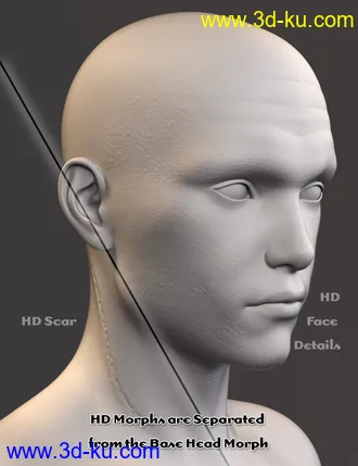 3D打印模型Wizen for Genesis 8 Male的图片