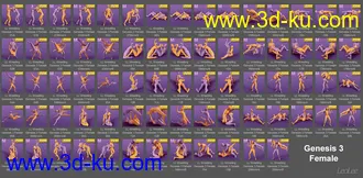 3D打印模型Women Wrestlers Poses for Genesis 3 and 8 Female的图片