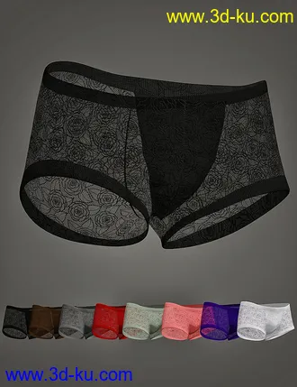 3D打印模型XF Bunny Lace Lingerie Briefs for Genesis 8 and 8.1 Males的图片