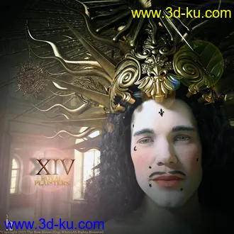 3D打印模型XIV Beauty Plaisters Kit的图片