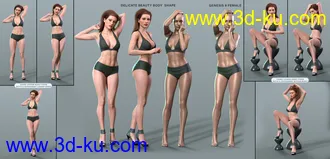 3D打印模型Z Delicate Beauty Shape and Pose Mega Set的图片
