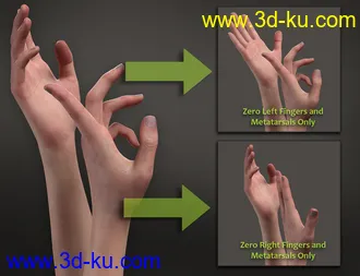 3D打印模型Zero Pose Utility Presets for Genesis 8 and 8.1的图片