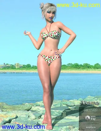 3D打印模型dp2004_nb238182_w330_h429_x的图片