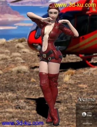 3D打印模型dp2004_nb238184_w330_h429_x的图片