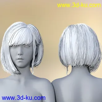 3D打印模型dp2005_nb238194_w330_h330_x的图片